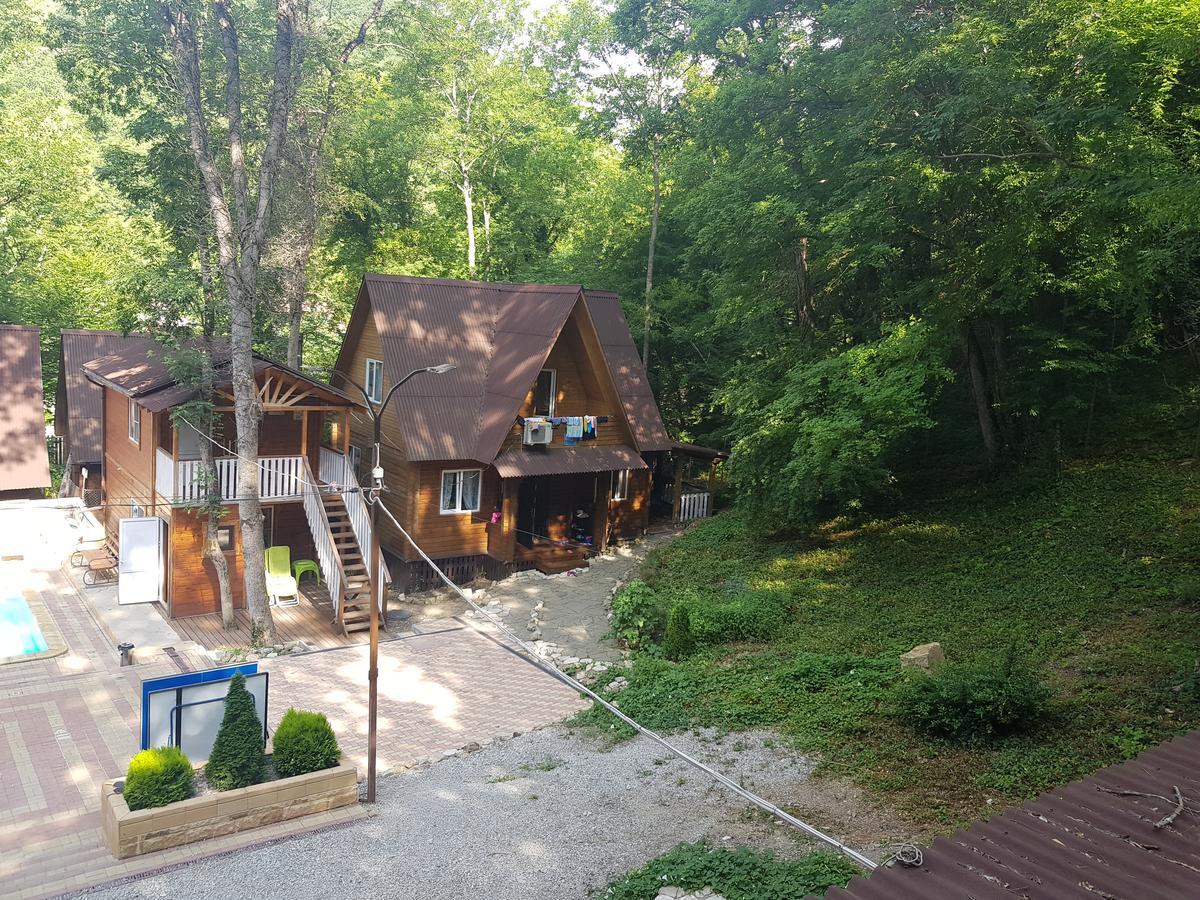 ГОСТИНИЦА HOLIDAY PARK BORODACHA БЕТТА (Россия) - от 3484 RUB | NOCHI